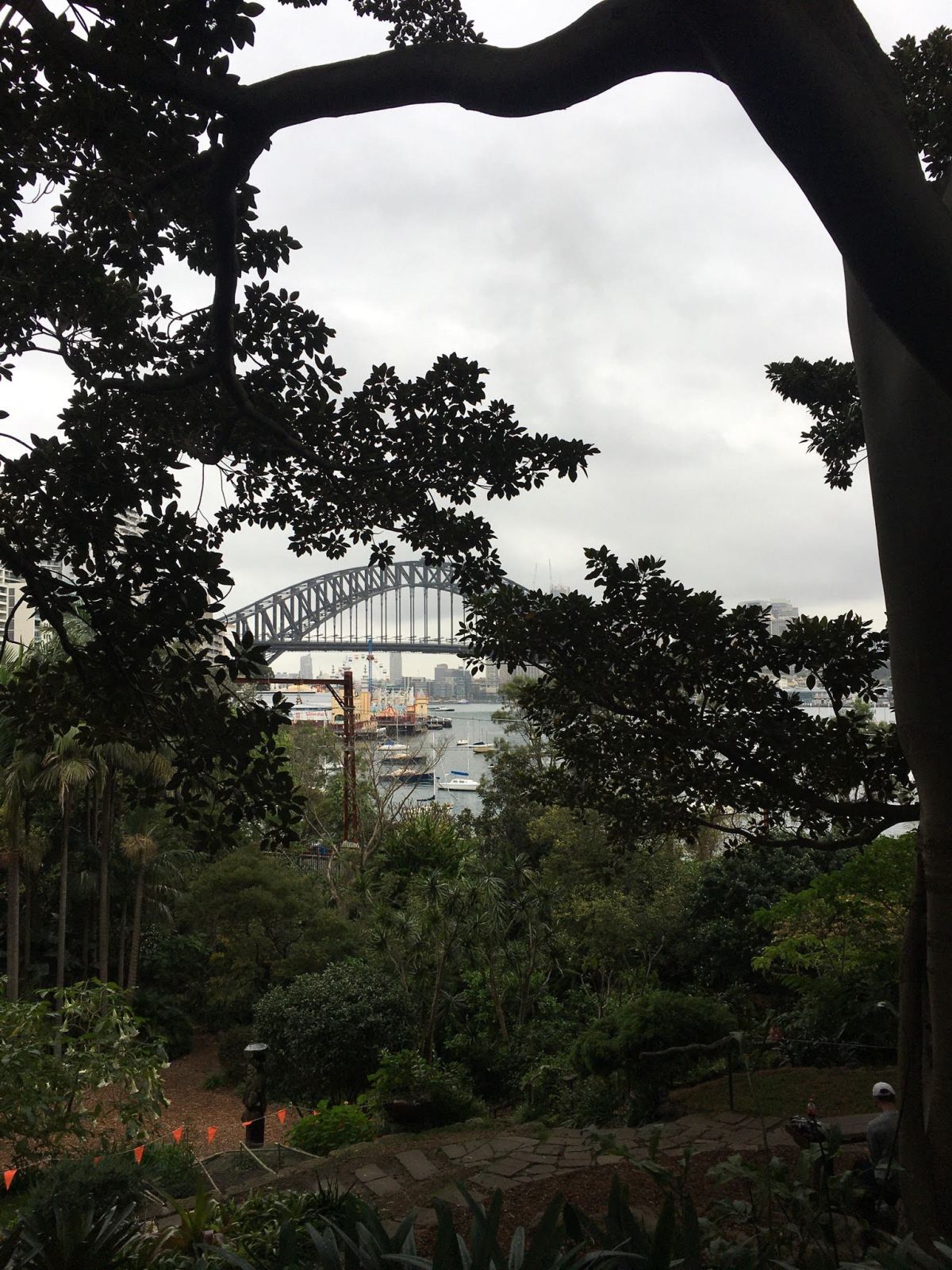 Wendy’s Secret Garden,&nbsp;Sydney