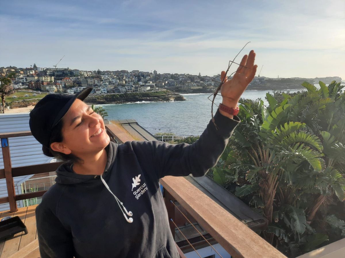 Es posible: Sponsor visa siendo Working&nbsp;Holiday